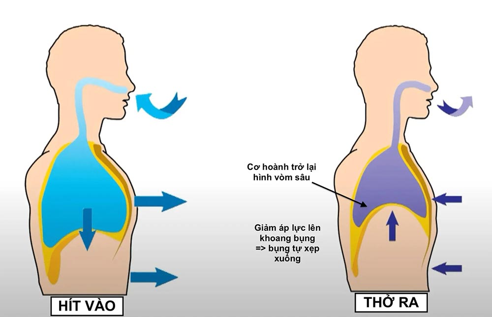 Tìm hiểu về hoạt động hít thở