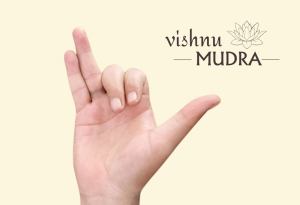 Thủ ấn Vishnu Mudra