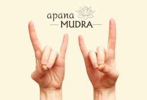 Thủ ấn Apana Mudra