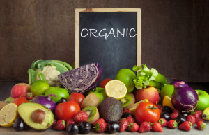 Chế Độ Ăn Uống Khi Tập Yoga Đảm Bảo Dinh Dưỡng, Khoa Học