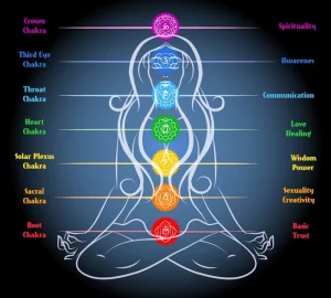 luân xa trên cơ thể người