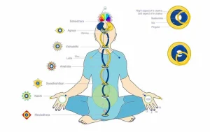 năng lượng nadis